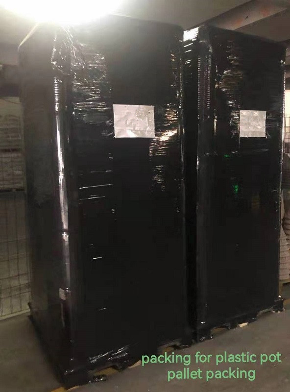packing for plastic pot.jpg