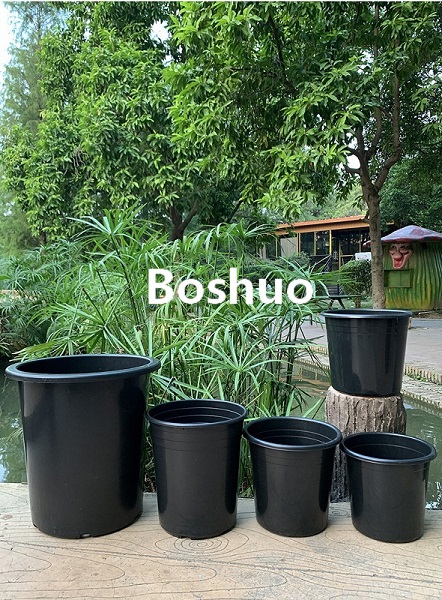 1685461589703708.jpg 001(Boshuo).jpg