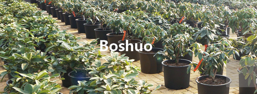001(Boshuo).png