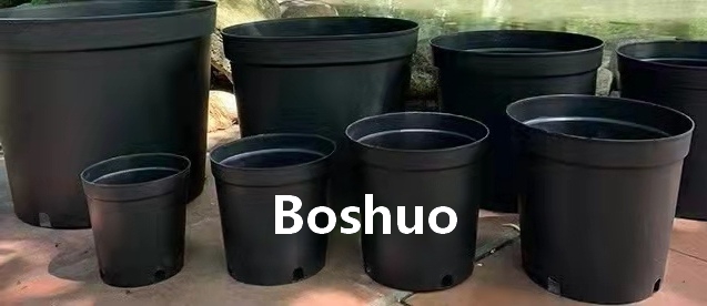 1685463793376425.jpg 01(Boshuo).jpg