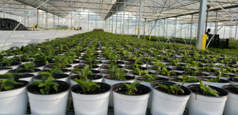 1685464960564534.png @NUXBC%7BO6J46W(0HSC31G.png